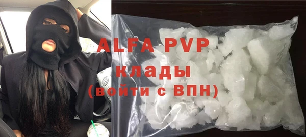 дмт Пересвет