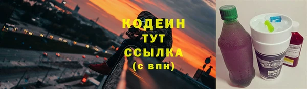 дмт Пересвет